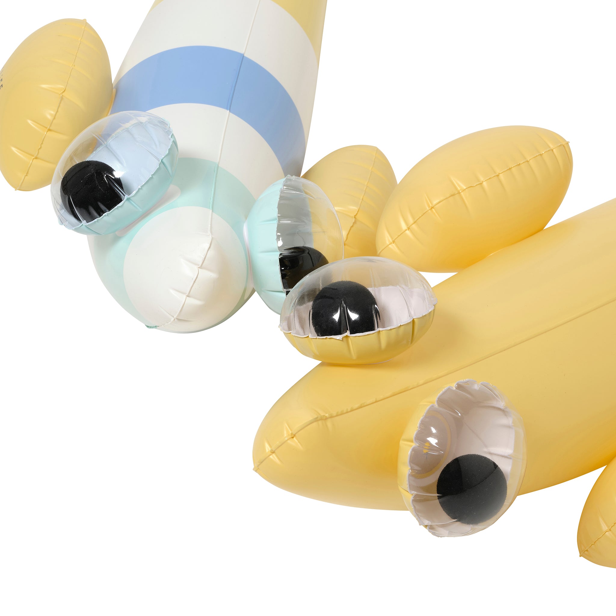 Kids Inflatable Noodle - Finn the Fish