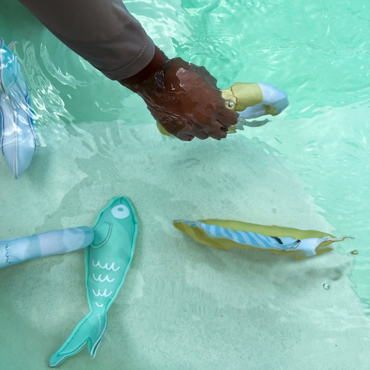 Dive Buddies 6 - Sammy the Seagull - SUNNYLiFE US