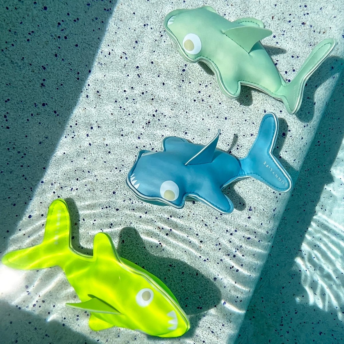 Dive Buddies - Salty The Shark - SUNNYLiFE US