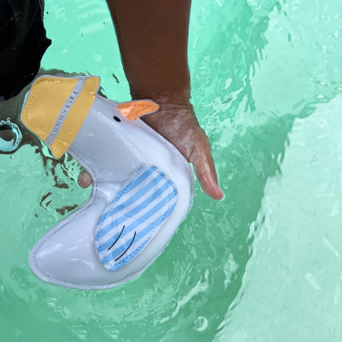 Dive Buddies - Sammy the Seagull - SUNNYLiFE US