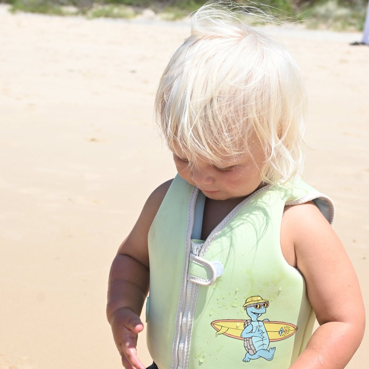 Kids Swim Vest 2 - 3 - Shred Turtle - SUNNYLiFE US
