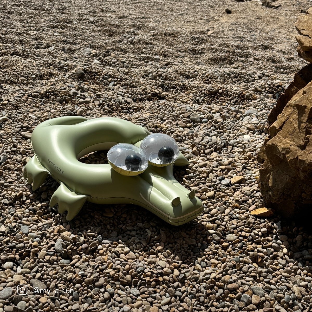 Kids Tube Pool Ring - Cookie the Croc - SUNNYLiFE US