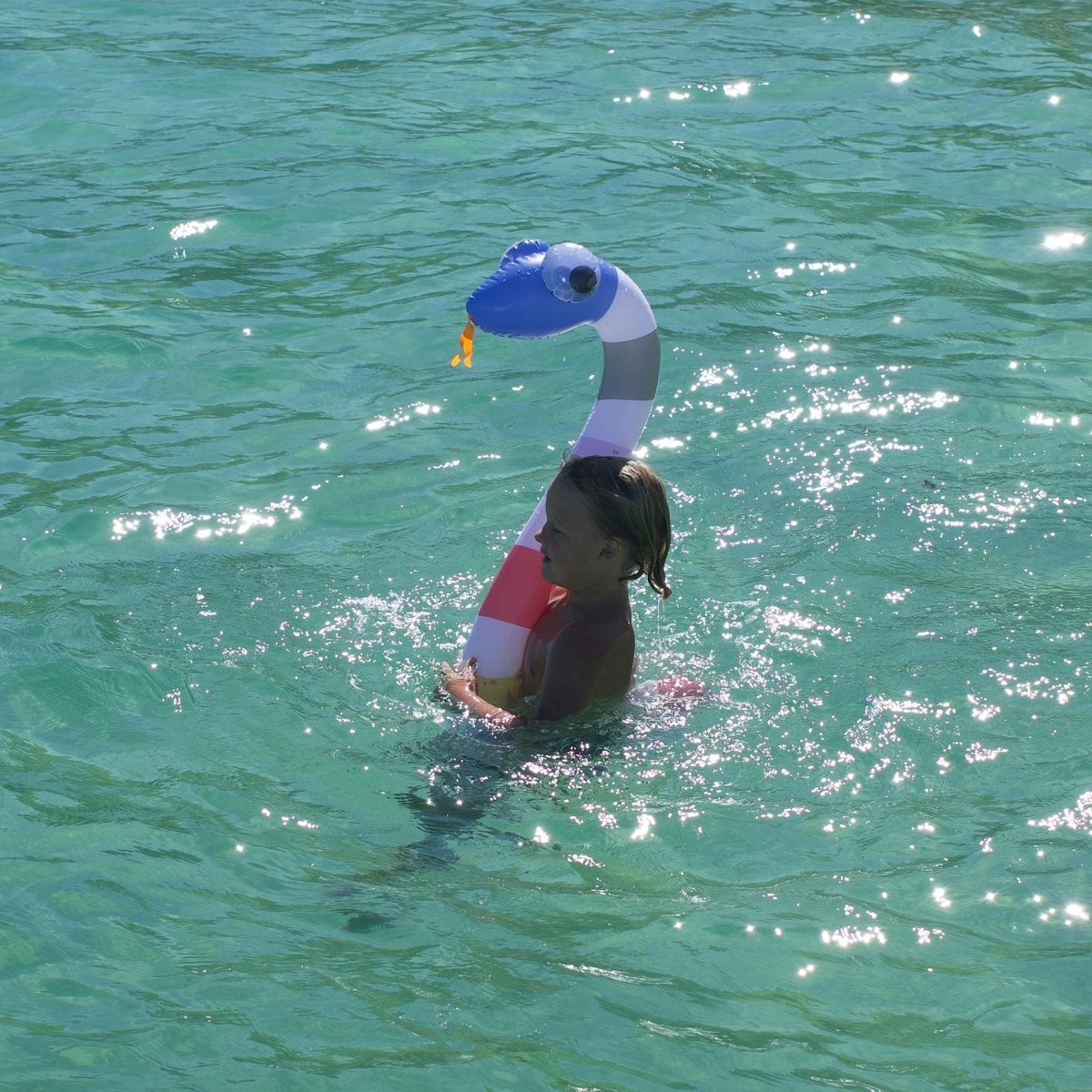 Kids Inflatable Noodle - Into the Wild - SUNNYLiFE US