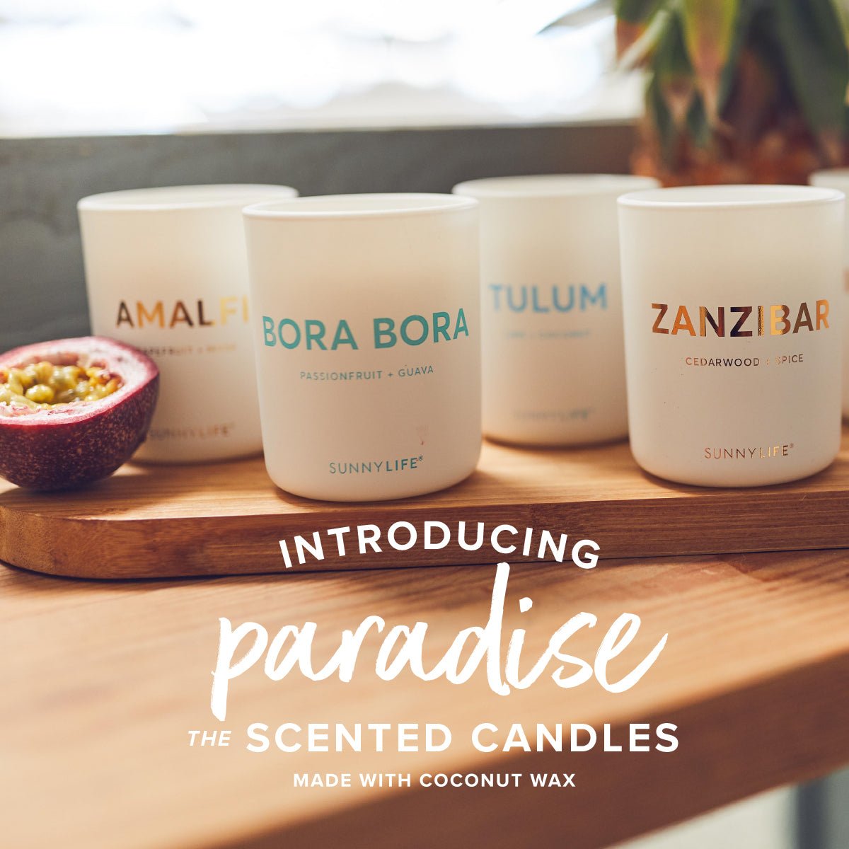 Introducing Paradise | The Scented Candles - SUNNYLiFE US