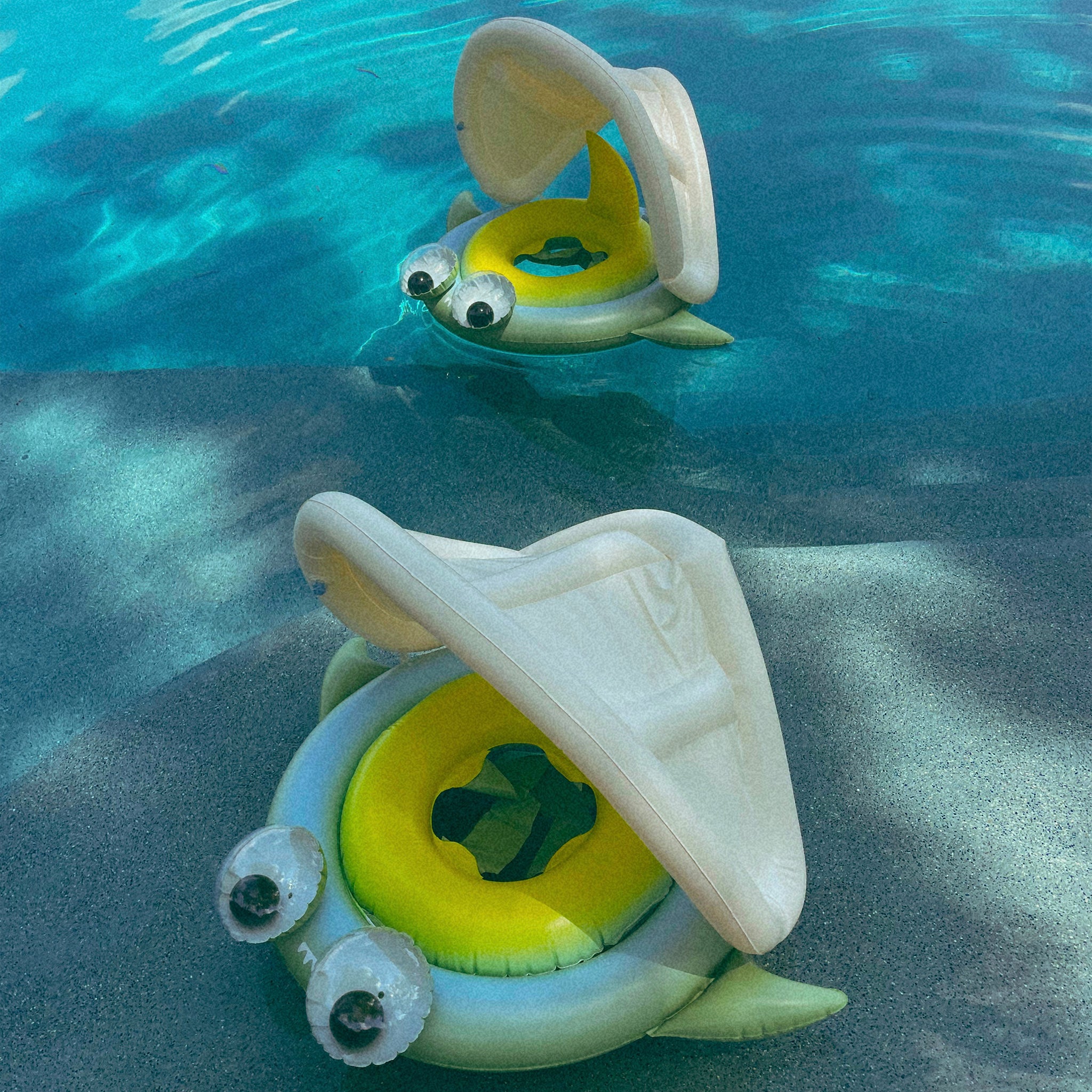 Baby Float | Shark Tribe