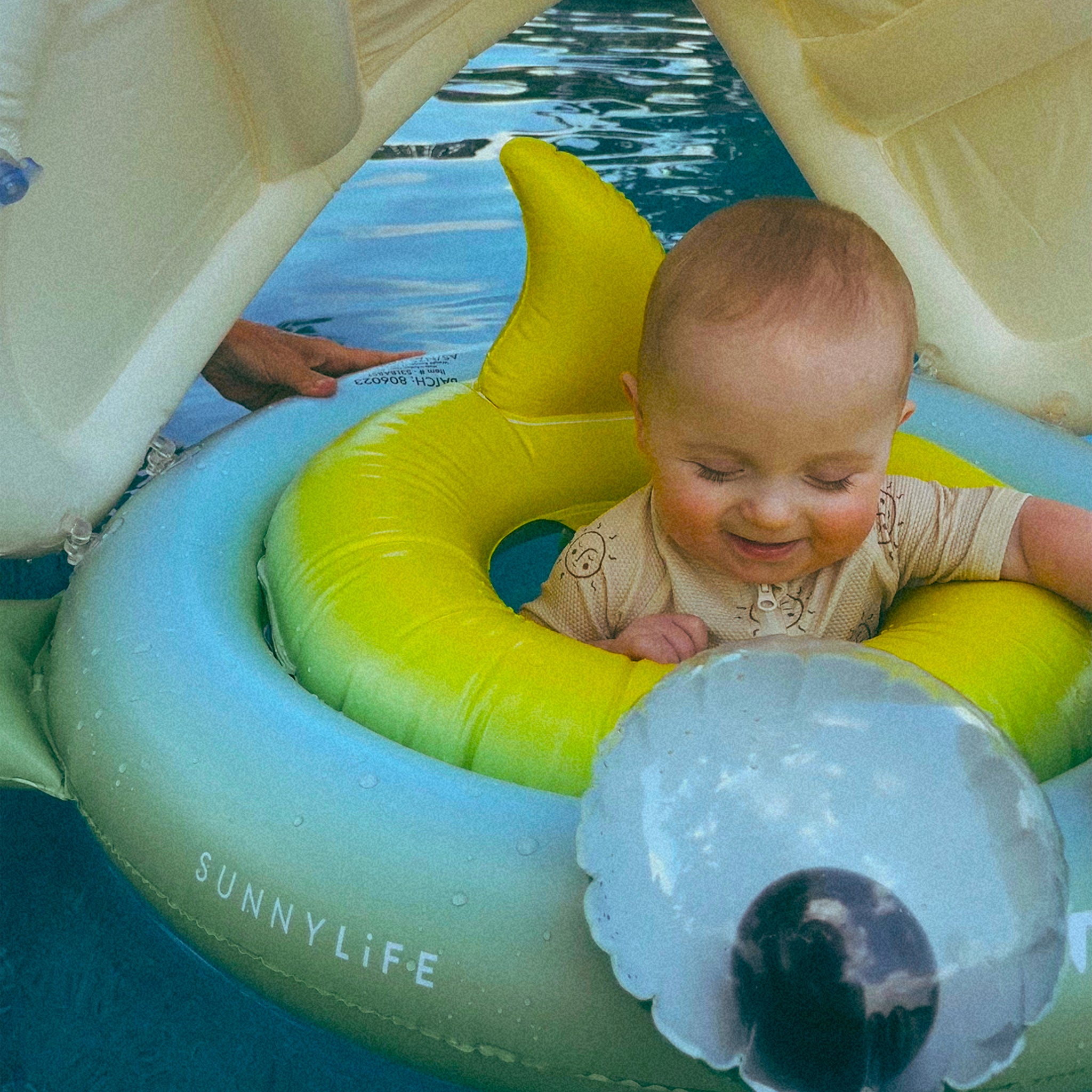 Baby Float | Shark Tribe