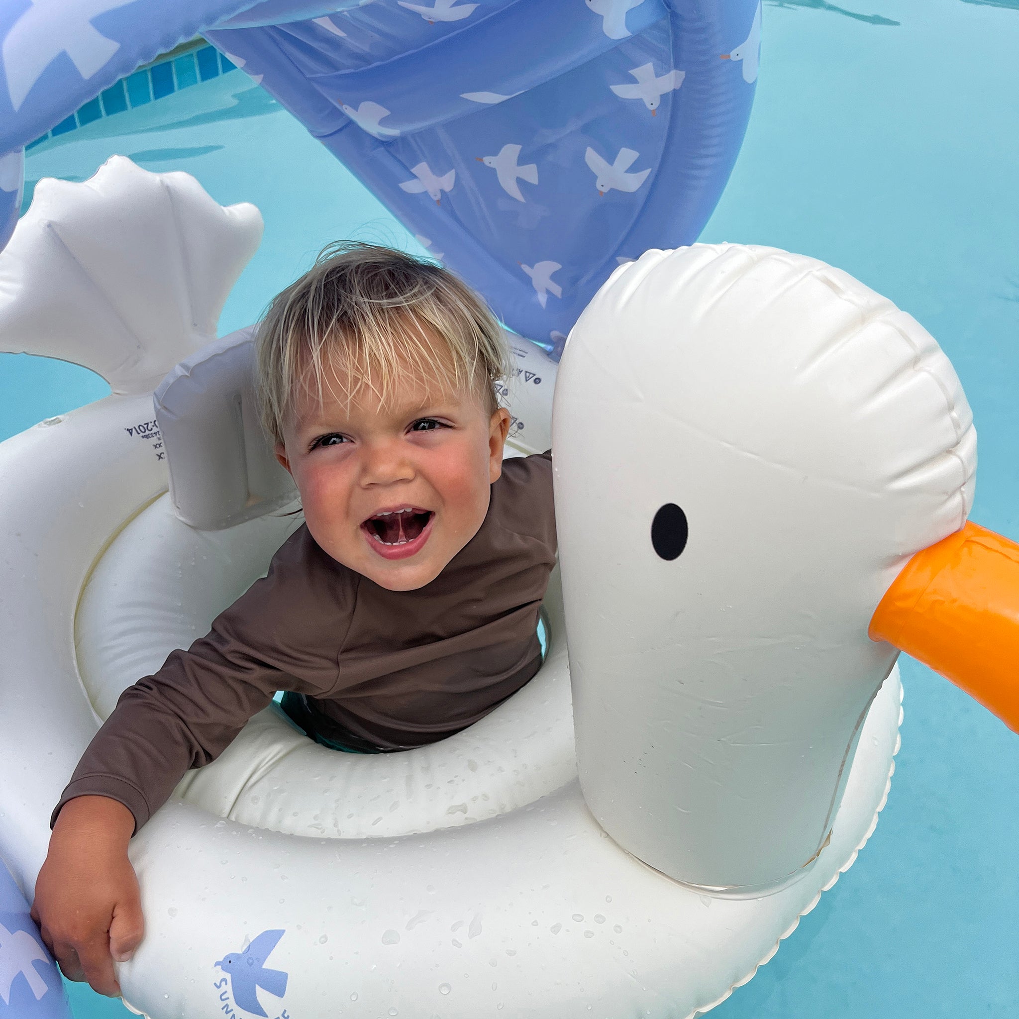 Baby Pool Float With Shade | SUNNYLiFE