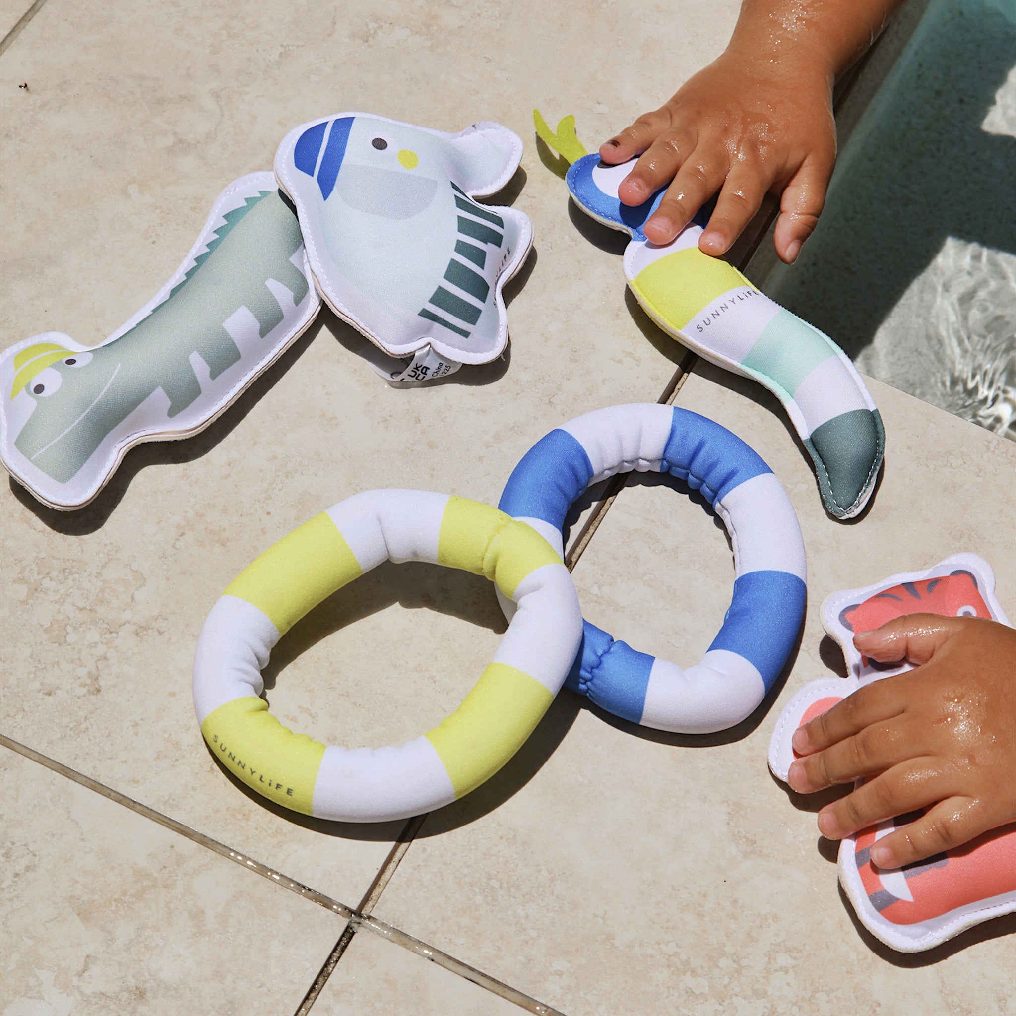 Dive Buddies - Into the Jungle Set of 6