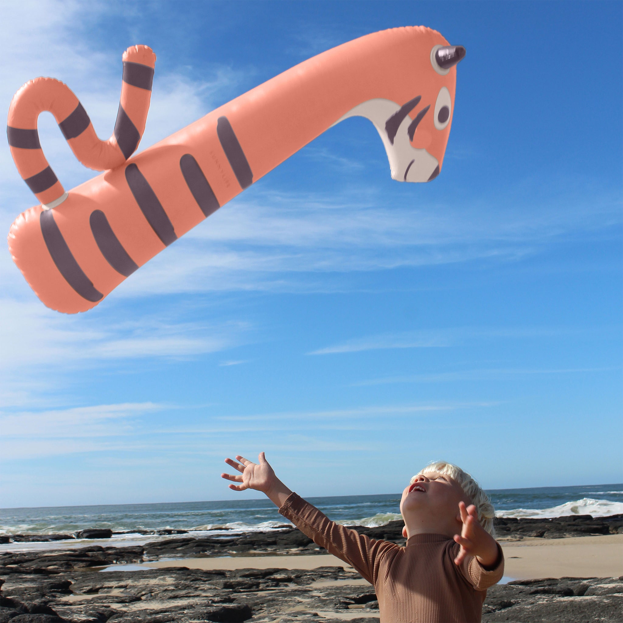 Kids Inflatable Noodle - Tino the Tiger Clay
