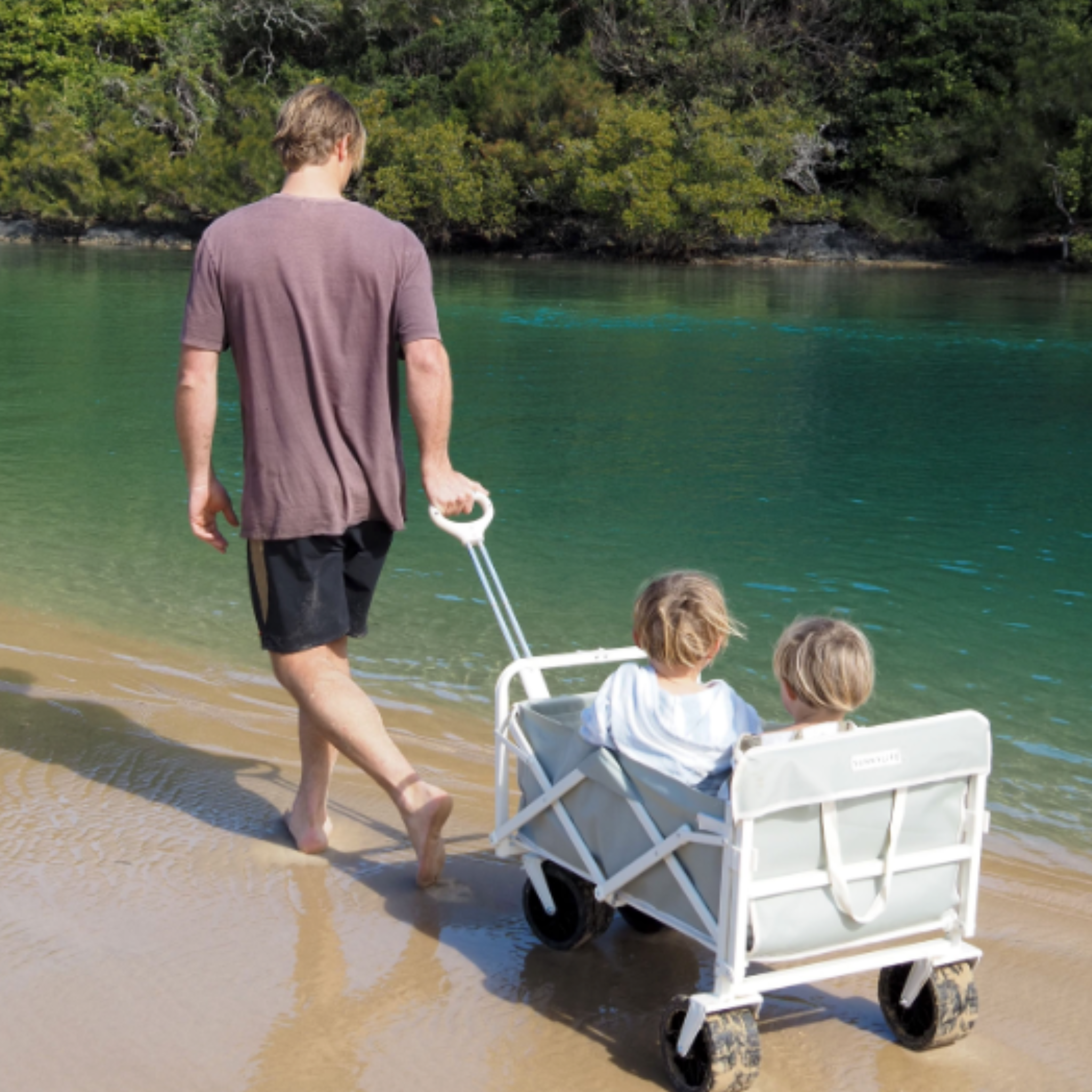 Beach Cart - Seagrass Sage